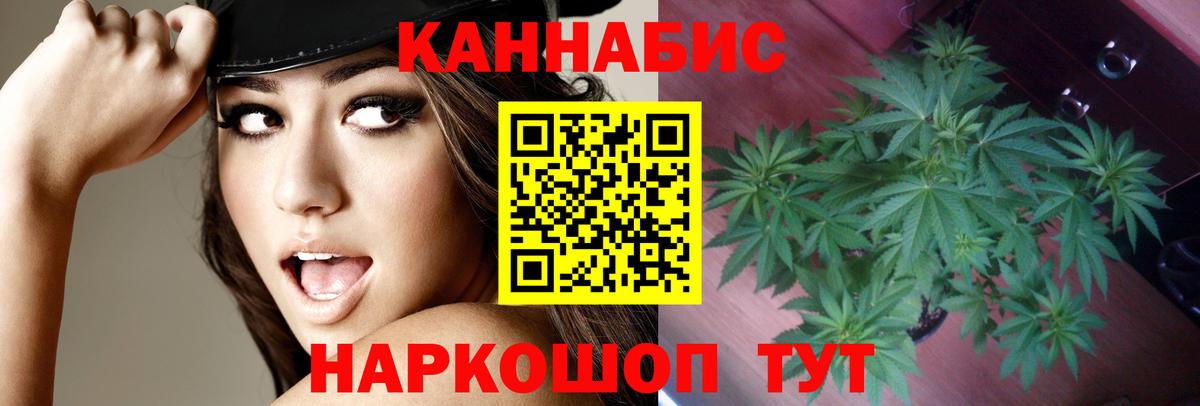 Богородицк  Бошки Шишки ГИДРОПОН  МАРИХУАНА марихуана  Канабис OG Kush  Вход с VPN 